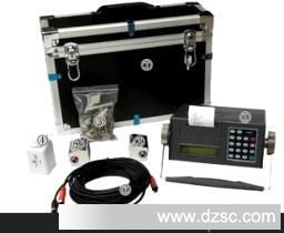 便攜式超聲波流量計TDS-100P在儀器儀表加工中的應用